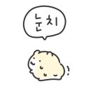 제주많은곰