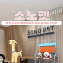 골드룸클럽 - 서구 서곶로315번길 13 | 홍천 소노펫 비발디파크 골드 파크뷰 스위트룸 후기