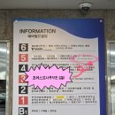 D-3 | 안산중앙동 향수공방 포레스트사부작 실내데이트하기 좋은 원데이클래스 후기