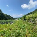 단월우체국 이미지