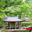 명승부분정비 뉴시스