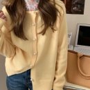 라운드 이미지
