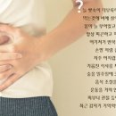 진도삼촌울금 이미지