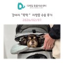 더 건강한 동물병원 | 철산동 동물병원) 강아지 "뚝딱" 지방종 수술 후기