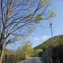 피아프스테이 이미지