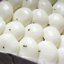 빵굽는오남매 이미지