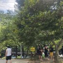 계곡물에 발 담그는 순간 피서 끝! 여름 동상계곡 알프스산장 총정리