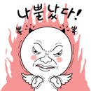 두물민박 이미지