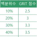 그릿(Grit) 이미지