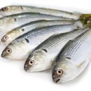 웰빙수산물 이미지