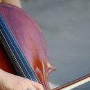 하모니아 이미지