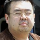 김정남 카카오 검색결과