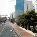 달맞이길 221 이미지