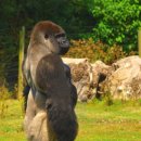 제이바디짐 이미지