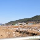 함평천지추어탕 이미지