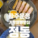 와동교차로 | [파주운정맛집] 가람마을 숯불돈카츠 냉우동 전문 신상 맛집 정동 파주점