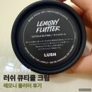 플러터 - 수성구 성동로 43 | 러쉬 레모니 플러터 후기 | 큐티클 제거 후 바르기 좋은 큐티클 크림