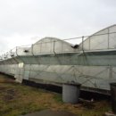 표선면-7 이미지