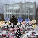 자작나무 숲 | 아이랑 겨울, 용인자작나무숲 방문후기(눈썰매장 실패..)