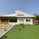 이재룡의 뭉개뭉개 유치원 이미지