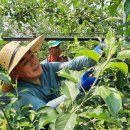 산동농협 이미지