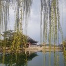 경복궁숯불갈비 이미지