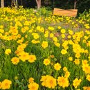 나비사랑 작은도서관 이미지