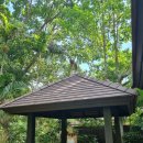 씨썬쌘드 이미지