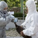 금강철새조망대 이미지