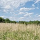 인의농장 이미지