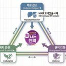 연이약국