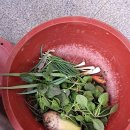 천왕봉민박 이미지