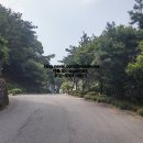 충효공원묘원 네이버블로그