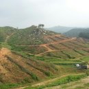 화봉농장 이미지