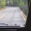 서예(Ⅱ) | [경기/과천] 국립현대미술관과천 <MMCA 해외명작: 수련과 샹들리에>│상설전 <한국근현대미술Ⅱ...