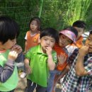 백상어린이집 이미지