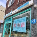 하대동217 | [진주] 하대동 마카롱 맛집 선물로 좋은 예쁜 조개롱 진주 마카롱