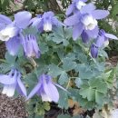 창문가로등 이미지