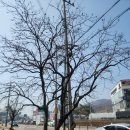 풍성농약사 이미지