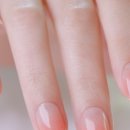 네일라운드