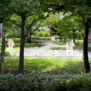 안산대학로 이미지