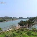 반하다위그