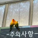 물총새공원로 | 대전 오월드 동물원 입장권 버드랜드 방문 후기