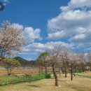 삼지수변공원 이미지