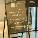 신도2교차로 1 | 도쿄 시부야 여행 스크램블 교차로 전망대 하치코