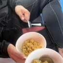 만타 | 이시가키 만타투어 카후 (kahoo)후기 | 프리다이빙, 스쿠버다이빙 가능 업체 | 만타가오리