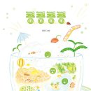 콩들의 이야기 이미지