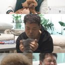 무무유치원 이미지