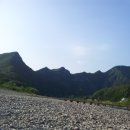 정희농박 이미지