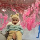 아미미술관 | 당진 가볼 만한 곳 아미미술관 방문 후기(주차, 가격, 시설, 전시)